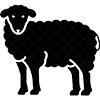 Lamb
